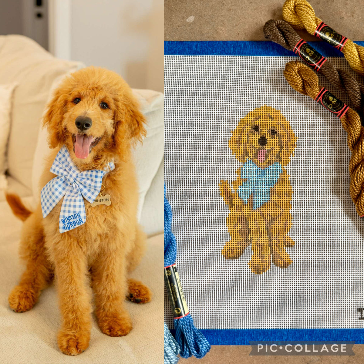 Custom Pet Needlepoint Canvas